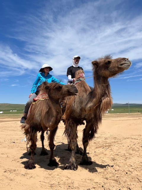 Camel Trails and Bird Tales: Discovering Elsen Tasarkhai - From Ulaanbaatar to the dunes: the long drive reality check