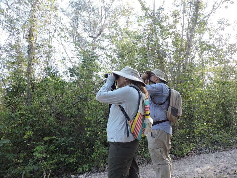 Cancún: Guided Birdwatching Hike - Key moments that make this birdwatching hike worth your time