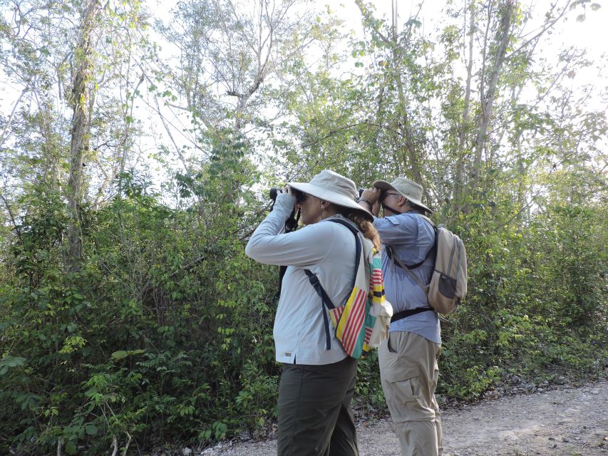 Cancún: Guided Birdwatching Hike - Price check: is $169 good value for Cancún birdwatching?