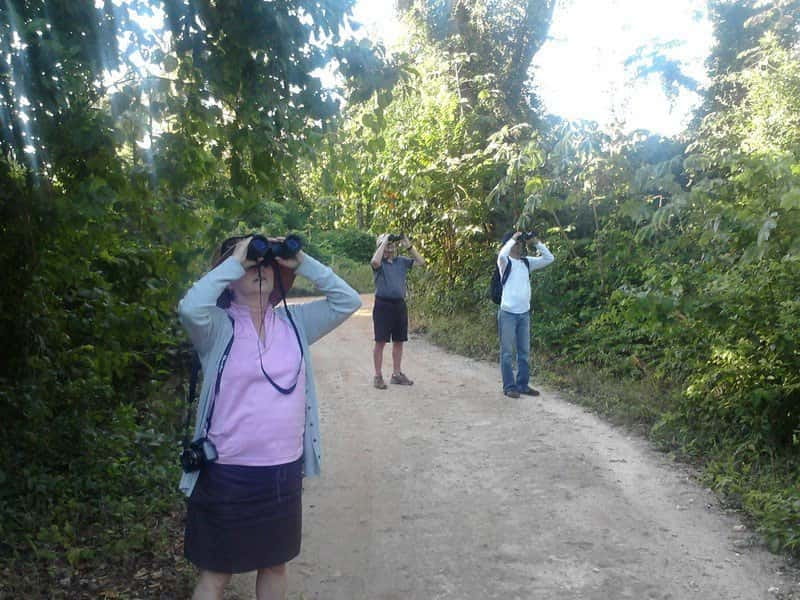 Cancun: Private Birdwatching Tour - What Happens in the Morning: Pickup, Jungle Walk, Snack Break