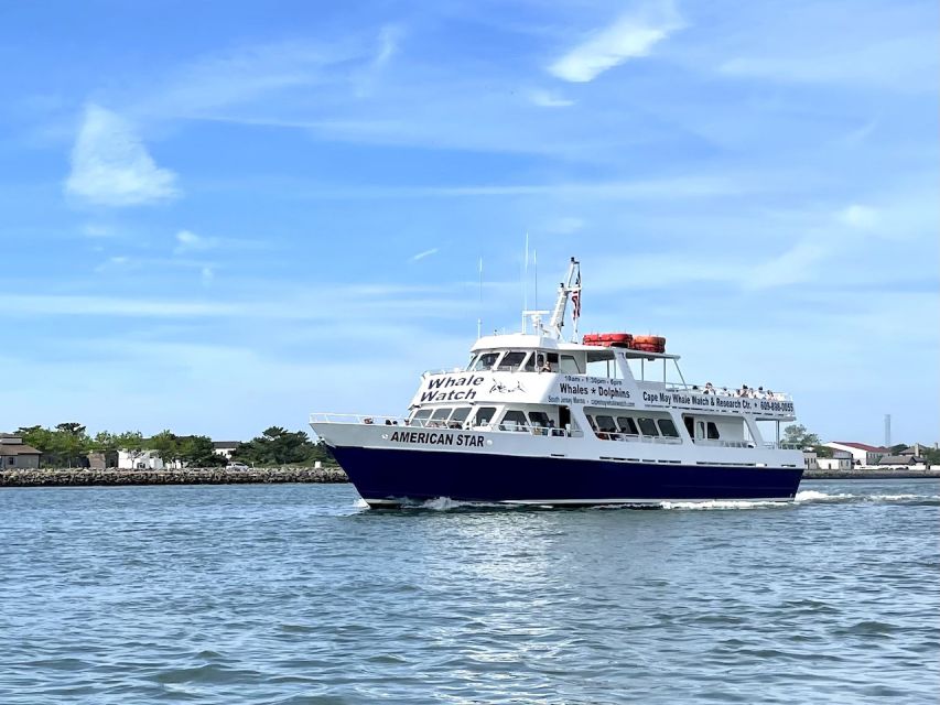 Cape May: Dolphin and Bird Watching Cruise - Boat comfort and crew energy: the difference between fine and great