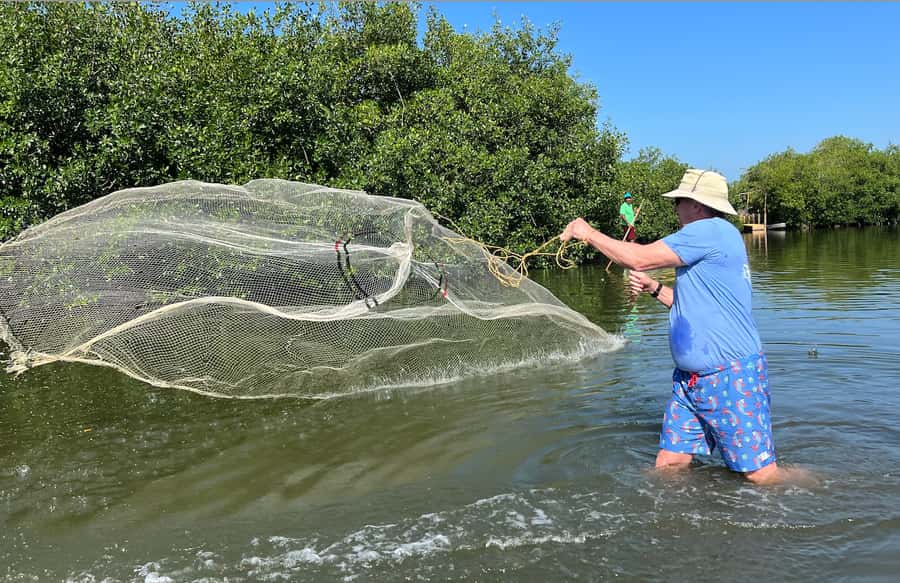 Cartagena Fishing, Crabbing, Birdwatching Experience + Lunch - Canoe into Ciénega de la Virgen mangrove tunnels: what you’ll see and why it matters