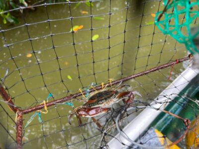 Cartagena Fishing, Crabbing, Birdwatching Experience + Lunch - Meeting point at Restaurante El Ñato: keep your morning stress low