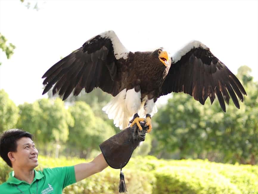 Dubai: Dubai Dolphinarium Dolphin, Seal & Bird Show Tickets - The Exotic Bird Show: When the Action Moves Above You