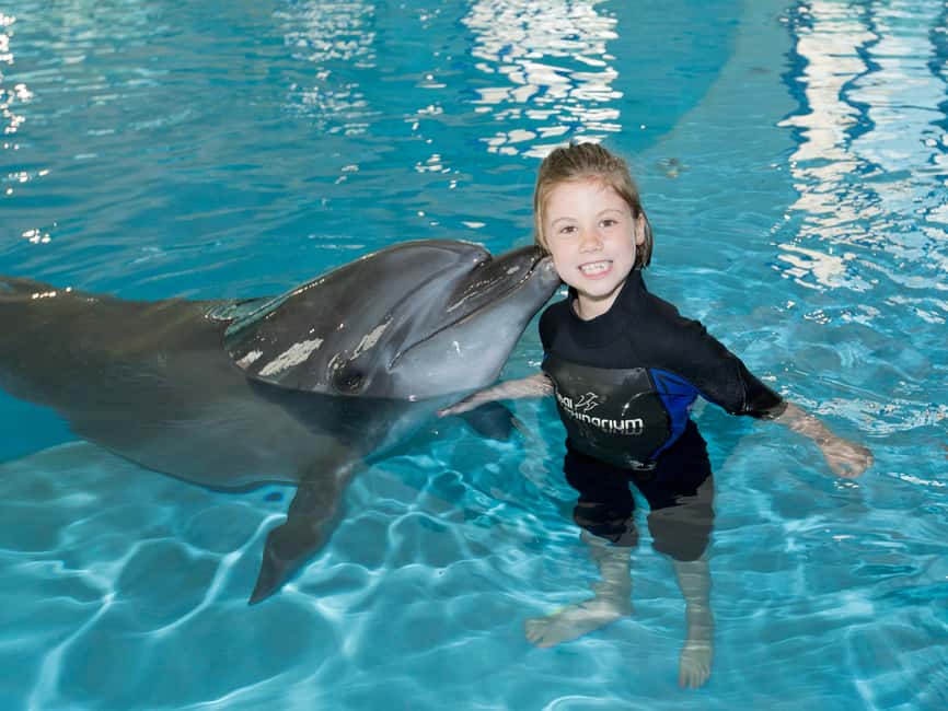 Dubai: Dubai Dolphinarium Dolphin, Seal & Bird Show Tickets - Add-Ons Inside the Park: Food, Photos, and Dolphin Swimming