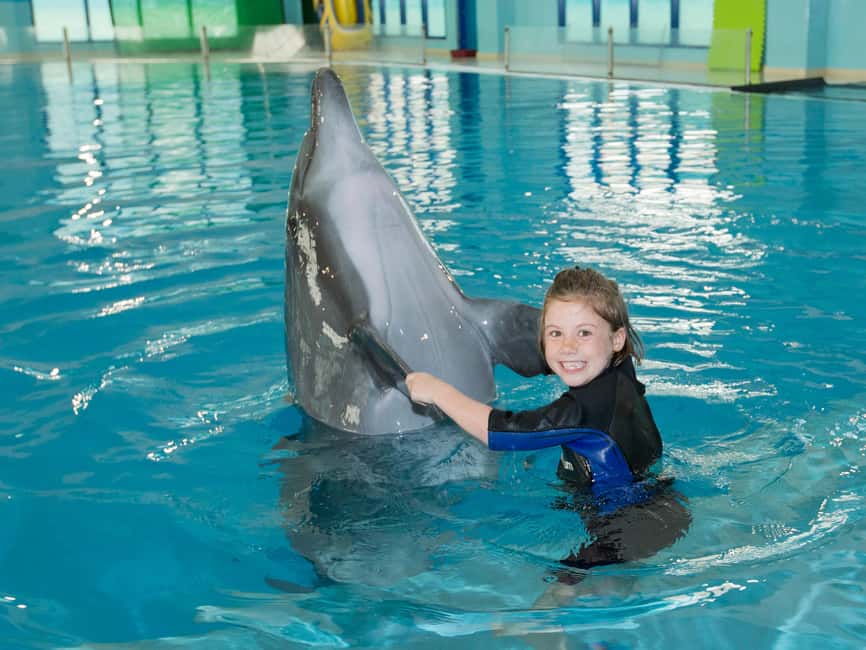 Dubai: Dubai Dolphinarium Dolphin, Seal & Bird Show Tickets - How Long You Should Plan (And What to Do Nearby)