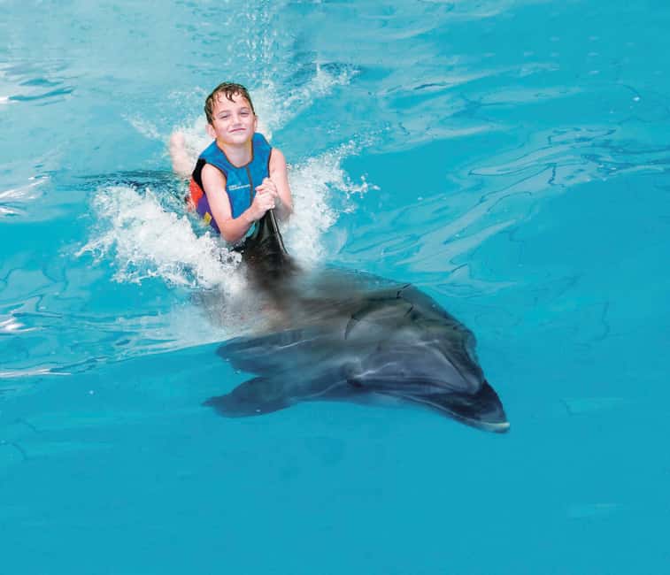 Dubai: Dubai Dolphinarium Dolphin, Seal & Bird Show Tickets - Who This Is Best For (And Who Might Want to Skip)