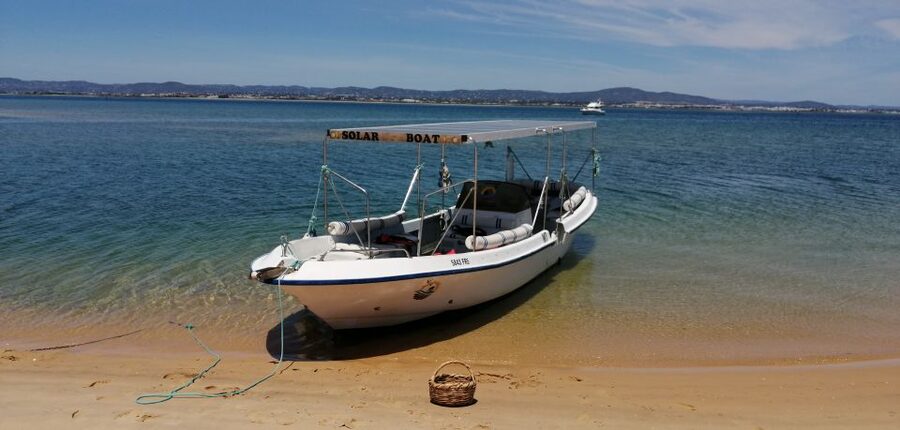 Faro: Eco-Friendly Ria Formosa Bird Watching in Solar Boat - Price and value: what $47 buys you in practice
