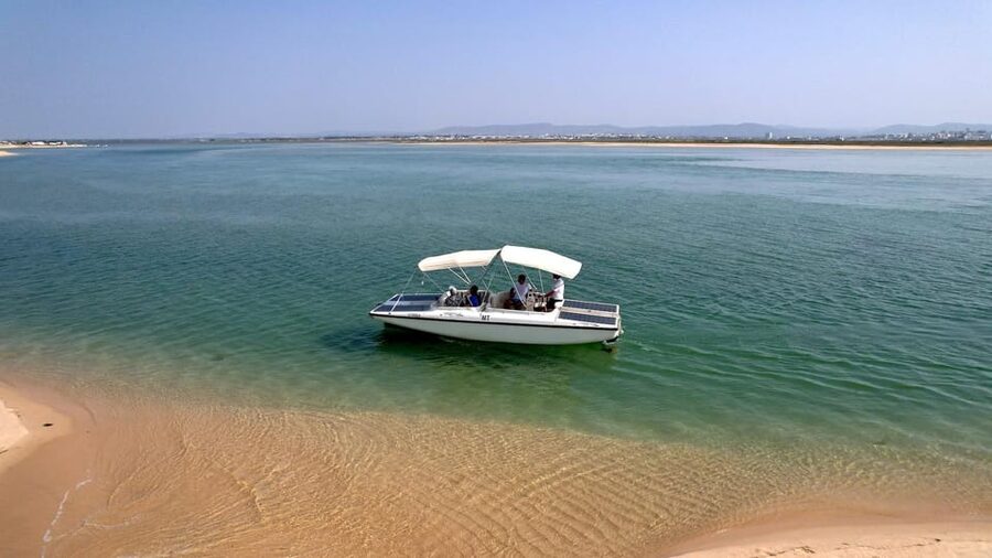 Faro: Ria Formosa Eco Birdwatching Boat Tour - Key things to know before you go