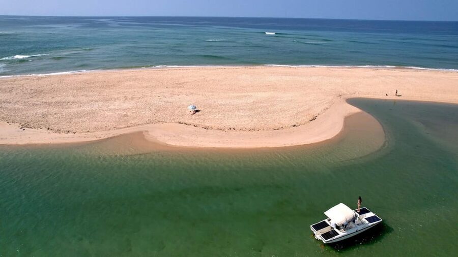 Faro: Ria Formosa Eco Birdwatching Boat Tour - Where the tour goes inside the lagoon: why that matters