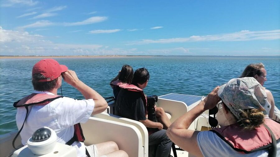 Faro: Ria Formosa Eco Birdwatching Boat Tour - Where you start in Faro: Cais das Portas do Mar