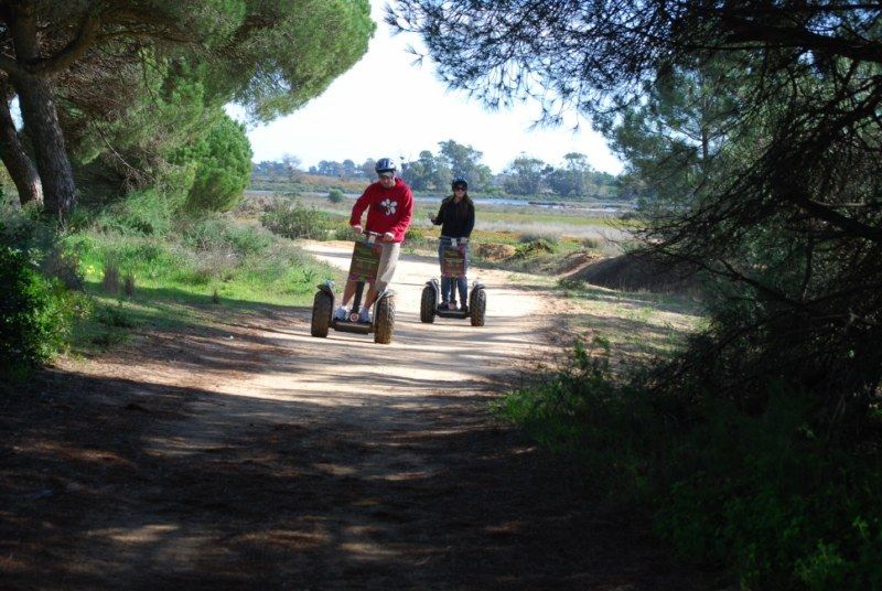 Faro: Ria Formosa Natural Park Segway Tour & Birdwatching - Why this Segway + birdwatching combo works near Faro
