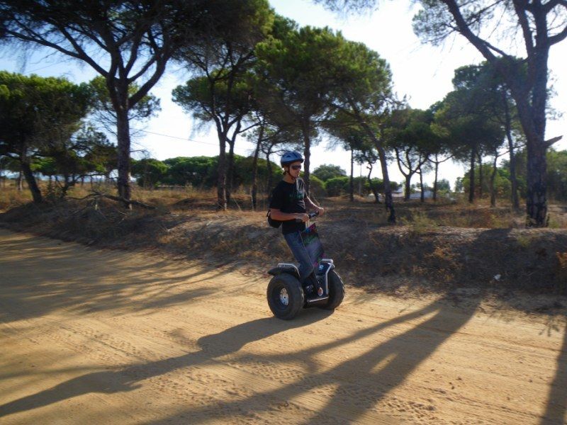 Faro: Ria Formosa Natural Park Segway Tour & Birdwatching - Birdwatching at Ludo: where migratory birds concentrate