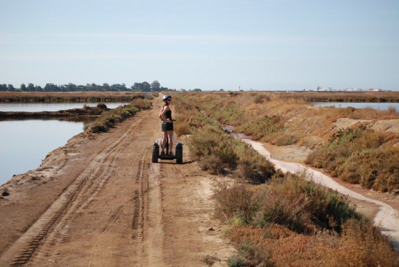 Faro: Ria Formosa Natural Park Segway Tour & Birdwatching - Timing, pace, and what 1.5 hours really feels like