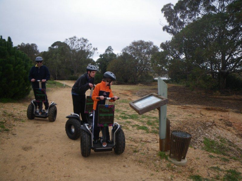 Faro: Ria Formosa Natural Park Segway Tour & Birdwatching - Cost and value: what you get for about $66