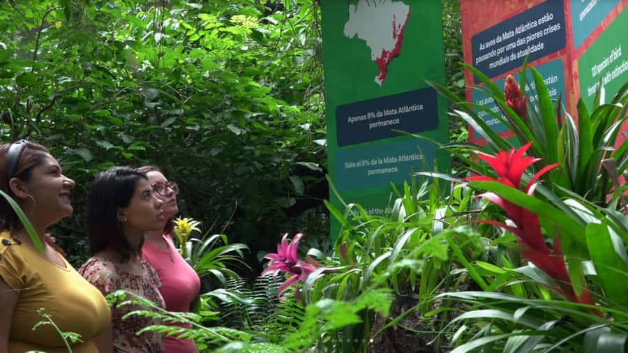 Foz do Iguaçu: Bird Park Tour with Tickets - Don’t miss the non-bird surprises