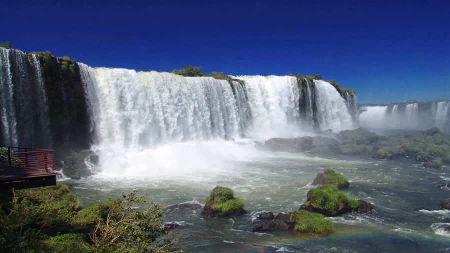 Foz do Iguaçu: Brazilian Side of the Falls + Bird Park - A Smart Combo: Brazilian Falls plus Bird Park