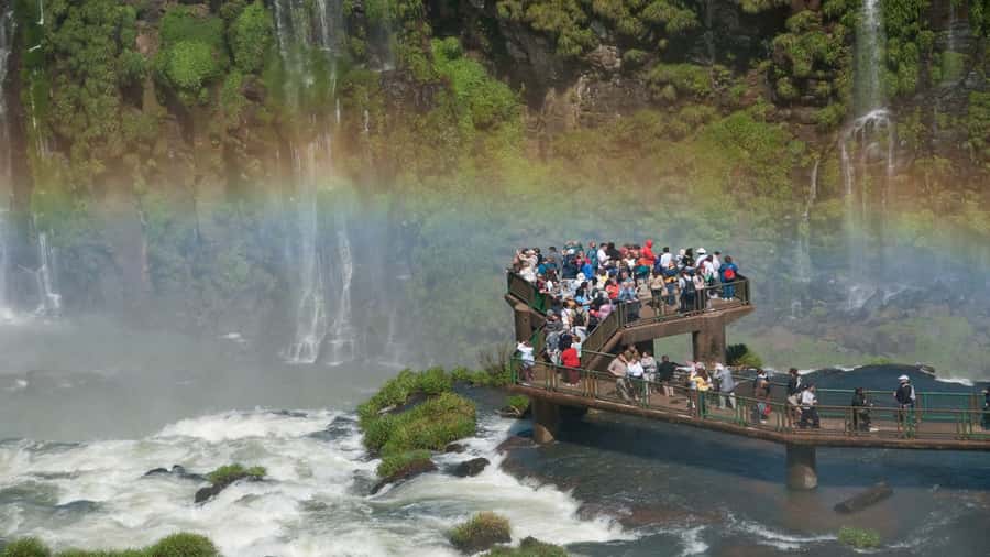 Foz do Iguaçu: Brazilian Side of the Falls + Bird Park - Bird Park Walkthrough: Watch Time You Can Actually Manage