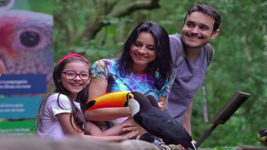 Foz do Iguaçu: Brazilian Side of the Falls + Bird Park - Price and Value: What $50 Really Buys You