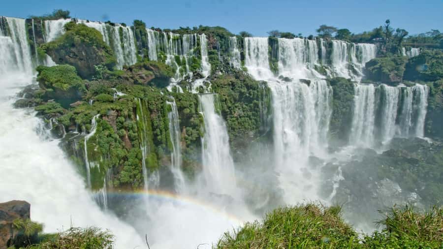 Foz do Iguaçu: Brazilian Side of the Falls + Bird Park - Meeting in Foz do Iguaçu and the Ticket Stop You’ll Want