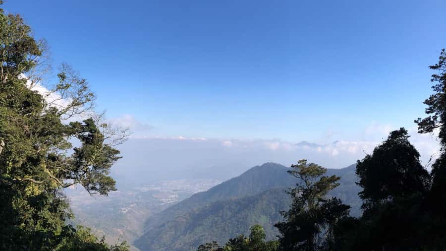 From Antigua Guatemala: Birdwatching and Scenic Hiking Tour - Finca El Pilar Forest Trails: Why This Hike Works for Birdwatching
