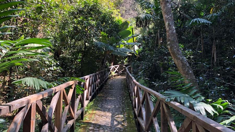 From Antigua Guatemala: Birdwatching and Scenic Hiking Tour - The Hike Plan: Lower Trails, Then the Uphill Grind