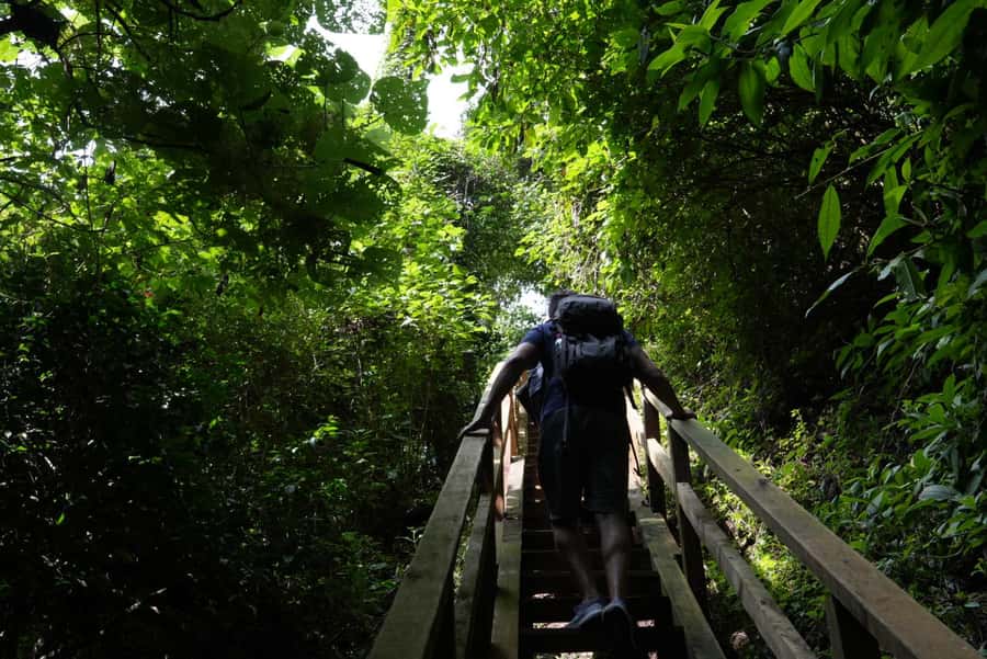 From Antigua Guatemala: Birdwatching and Scenic Hiking Tour - Why the Summit Views Matter (and How to Enjoy Them)