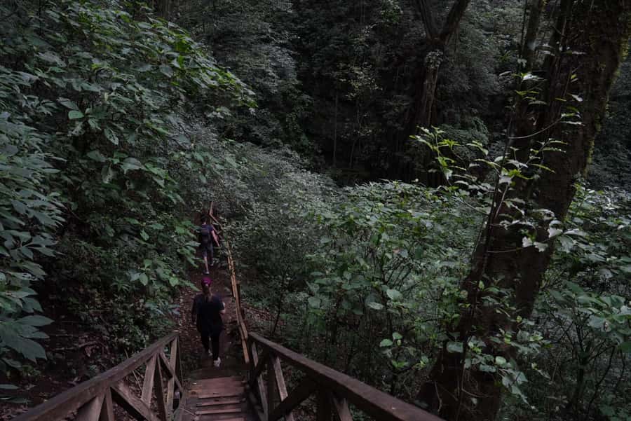 From Antigua Guatemala: Birdwatching and Scenic Hiking Tour - Your Guide Makes the Difference: Monica and Bilingual Bird Skills
