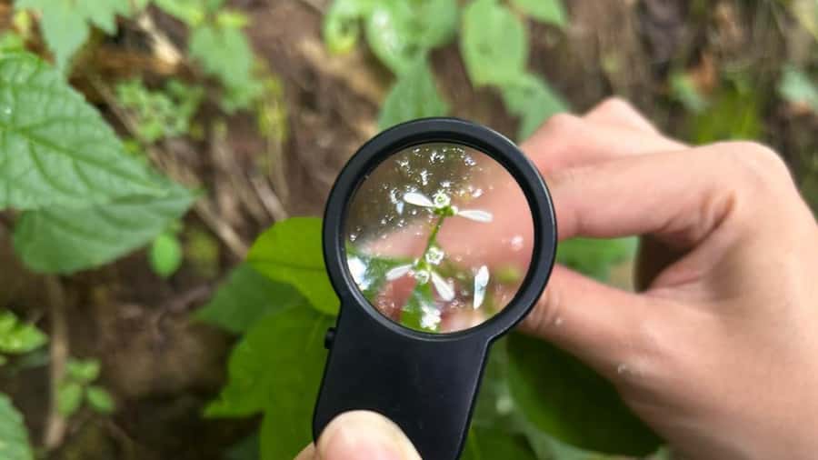 From Antigua Guatemala: Birdwatching and Scenic Hiking Tour - Gear Checklist That Actually Helps on This Trail