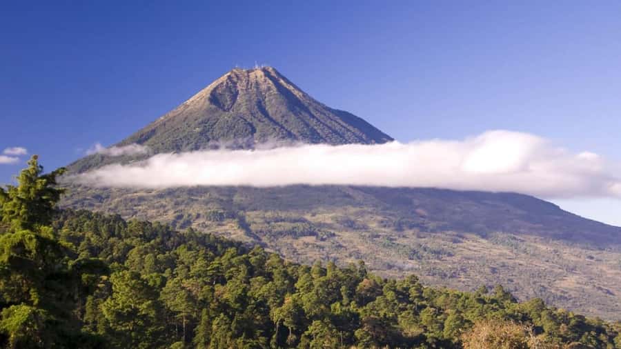 From Antigua Guatemala: Birdwatching and Scenic Hiking Tour - Meet the Birds You’ll Be Watching For