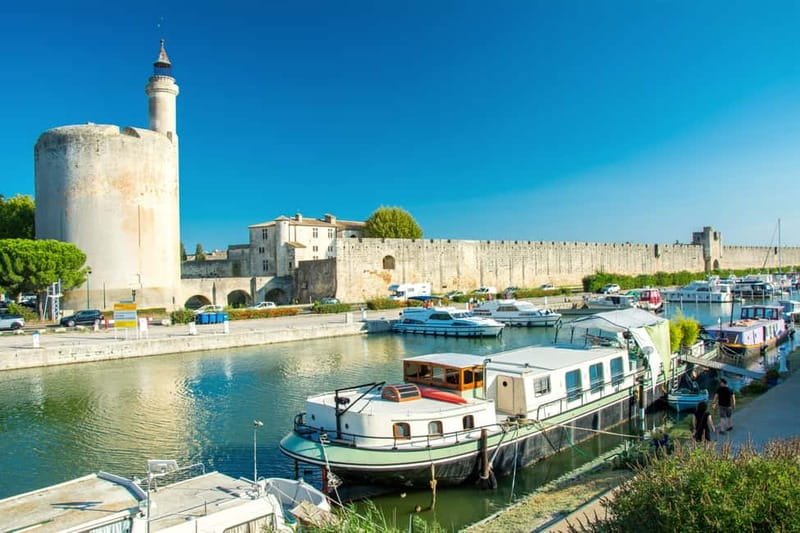 From Avignon: Camargue Tour with Bird Park Entry - From Avignon at 8:45 to Camargue: how the timing works