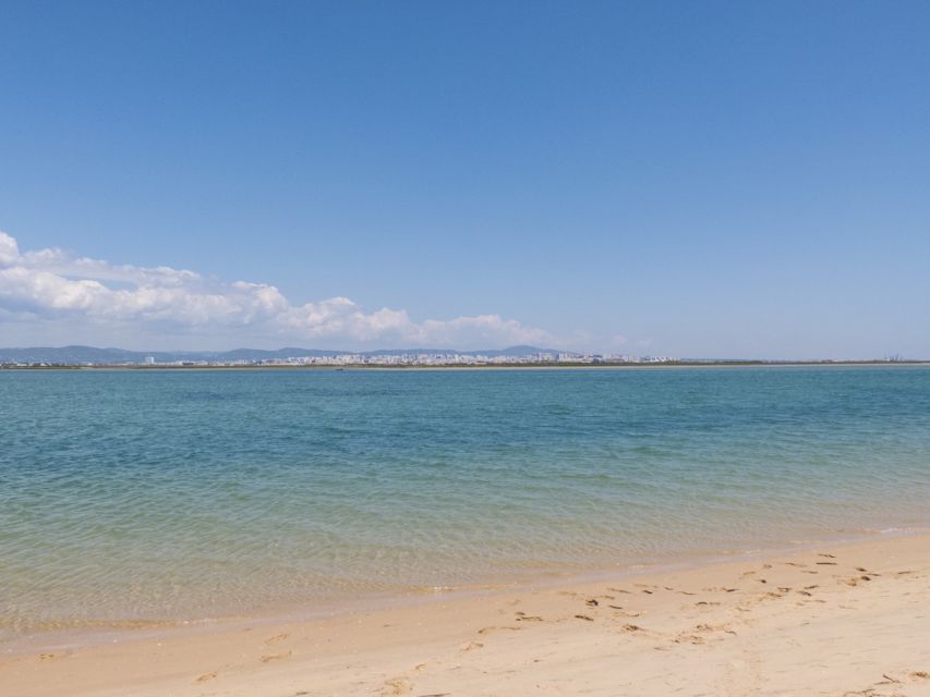 From Faro: 2-Hour Guided Bird Watching Boat Trip - Key highlights to look for on this boat trip