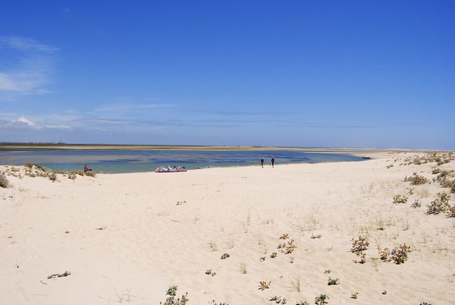 From Faro: 2-Hour Guided Bird Watching Boat Trip - Where you meet: Formosamar and the Boat Tours Store check-in