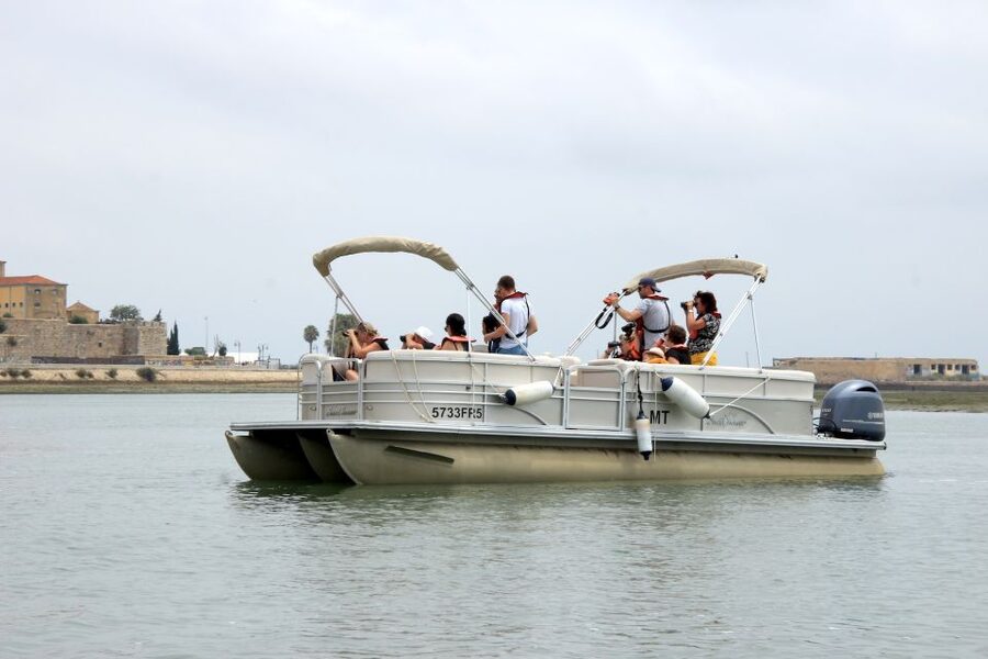 From Faro: 2-Hour Guided Bird Watching Boat Trip - Oyster and clam farms: the working coastline that supports wildlife