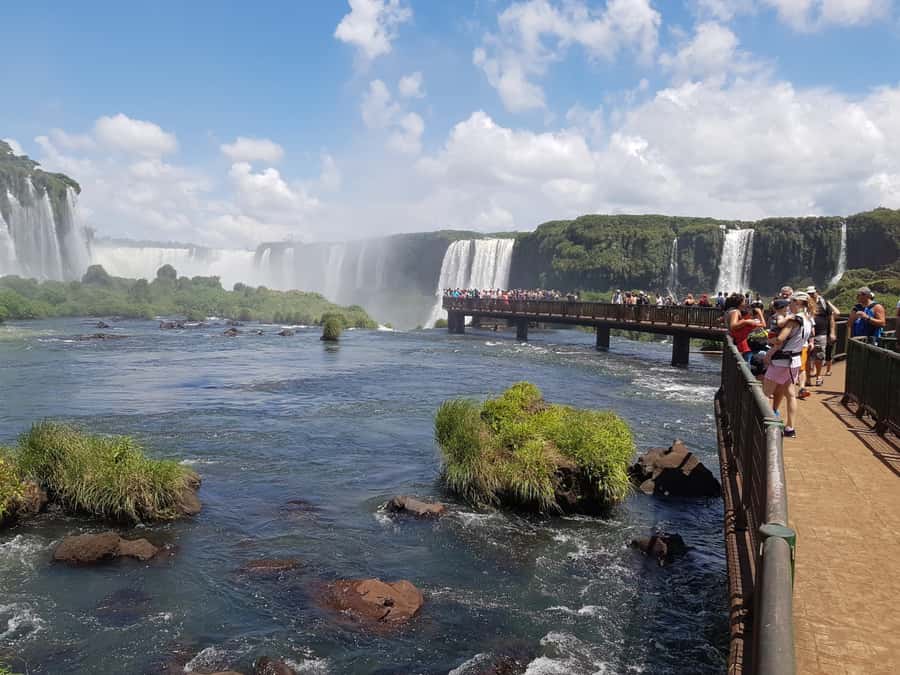 From Foz do Iguaçu: Brazilian Falls and Bird Park Tour - Key highlights worth knowing before you go