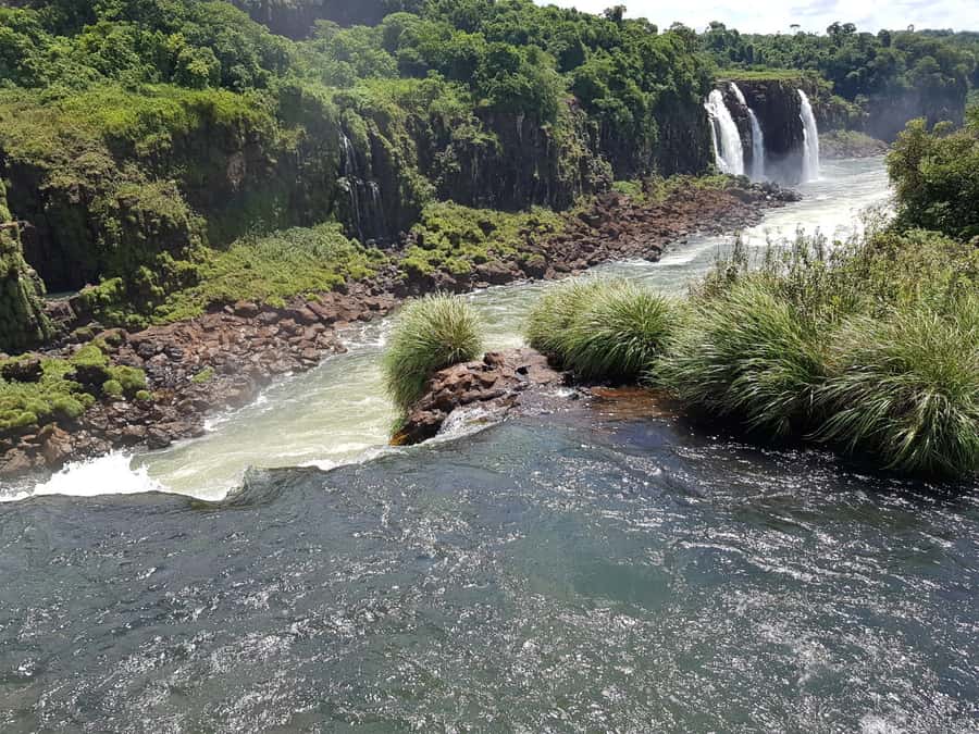 From Foz do Iguaçu: Brazilian Falls and Bird Park Tour - FAQ