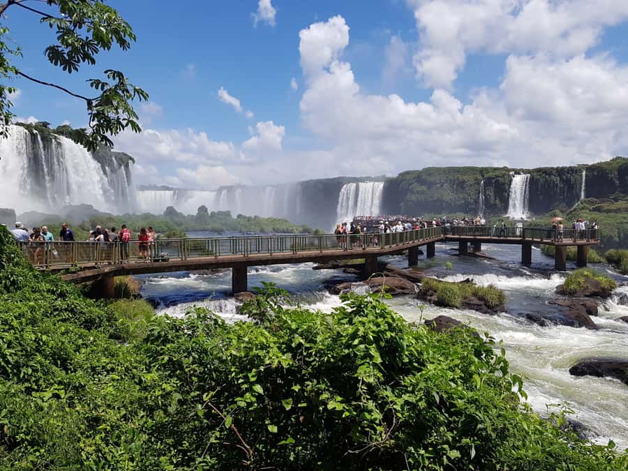 From Foz do Iguaçu: Brazilian Falls and Bird Park Tour - Bird Park First: Atlantic Forest Birds in a Shaded Setting