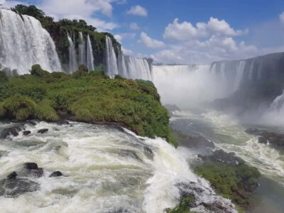 From Foz do Iguaçu: Brazilian Falls and Bird Park Tour - The Transition to Iguçu National Park: Jungle Realities, Not Just Postcards