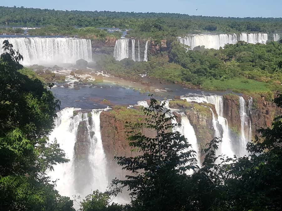 From Foz do Iguaçu: Brazilian Falls and Bird Park Tour - The Weather Factor: Rain Happens, and You Can Still Enjoy It