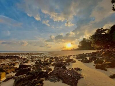 From Krabi: Phi Phi Early Bird & 4 Islands by Speedboat - Pickup points: what time you’ll be up and where you’ll meet the van/boat