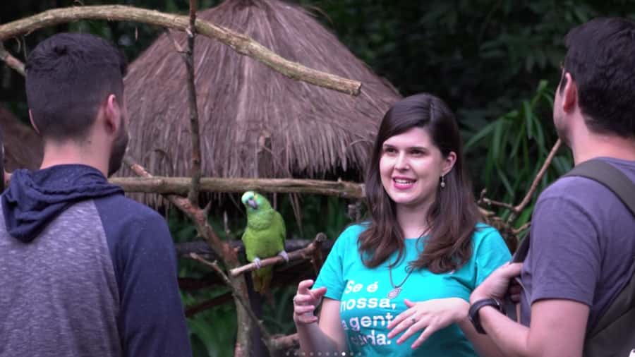 From Puerto Iguazú: Brazilian Bird Park Tour with Tickets - The Macaw Moment and Flamingo Lake Views at the Restaurant