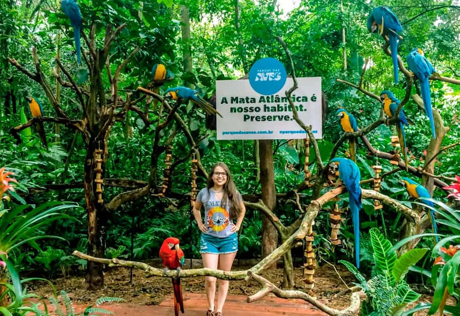 From Puerto Iguazú: Brazilian Bird Park Tour with Tickets - What I’d Do to Get the Best Experience in Real Life