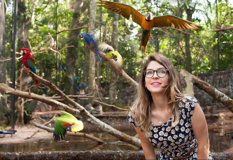 From Puerto Iguazú: Brazilian Bird Park Tour with Tickets - Price and Value: Does This $133 Half-Day Make Sense?
