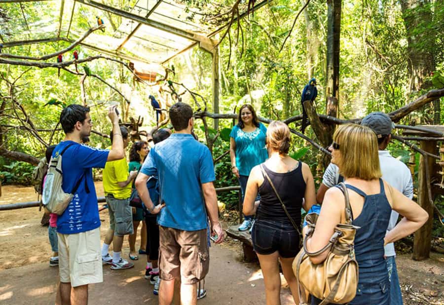 From Puerto Iguazú: Brazilian Bird Park Tour with Tickets - Should You Book This Bird Park Tour?