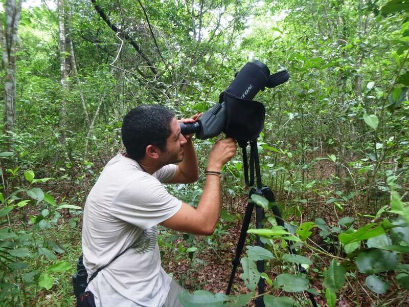 From Riviera Maya : Sian Ka'an Muyil Birdwatching with Guide - Why Muyil birdwatching feels different than the usual jungle tour