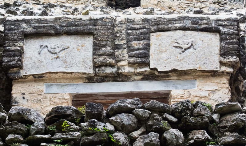 From Riviera Maya : Sian Ka'an Muyil Birdwatching with Guide - The 9:00 AM breakfast break that keeps the tour enjoyable