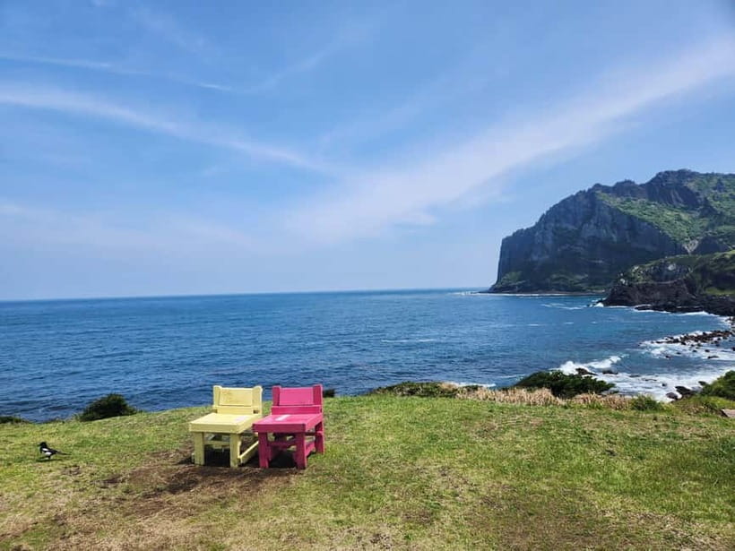 Jeju East: Cherry Blossom Early Bird Tour with Hotel Pickup - Why East Jeju cherry blossoms feel like a whole-day event