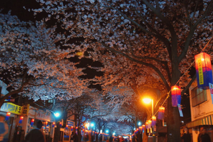 Jeju East: Cherry Blossom Early Bird Tour with Hotel Pickup - Lunch: planned, simple, and timed to keep you moving
