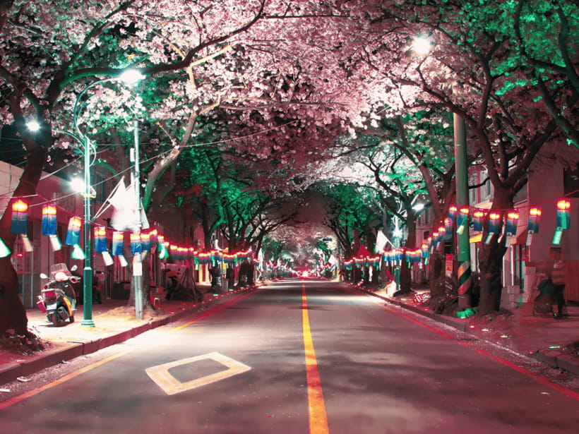 Jeju East: Cherry Blossom Early Bird Tour with Hotel Pickup - Micheongul Cave: cool air, wide lava tubes, and strange rock shapes