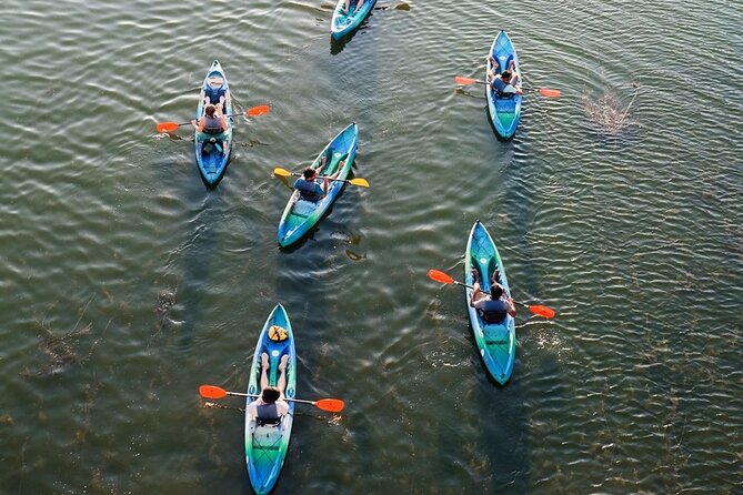 Kayak Rentals on Lady Bird Lake - Booking Smart: Weather, Timing, and What to Expect Day-Of